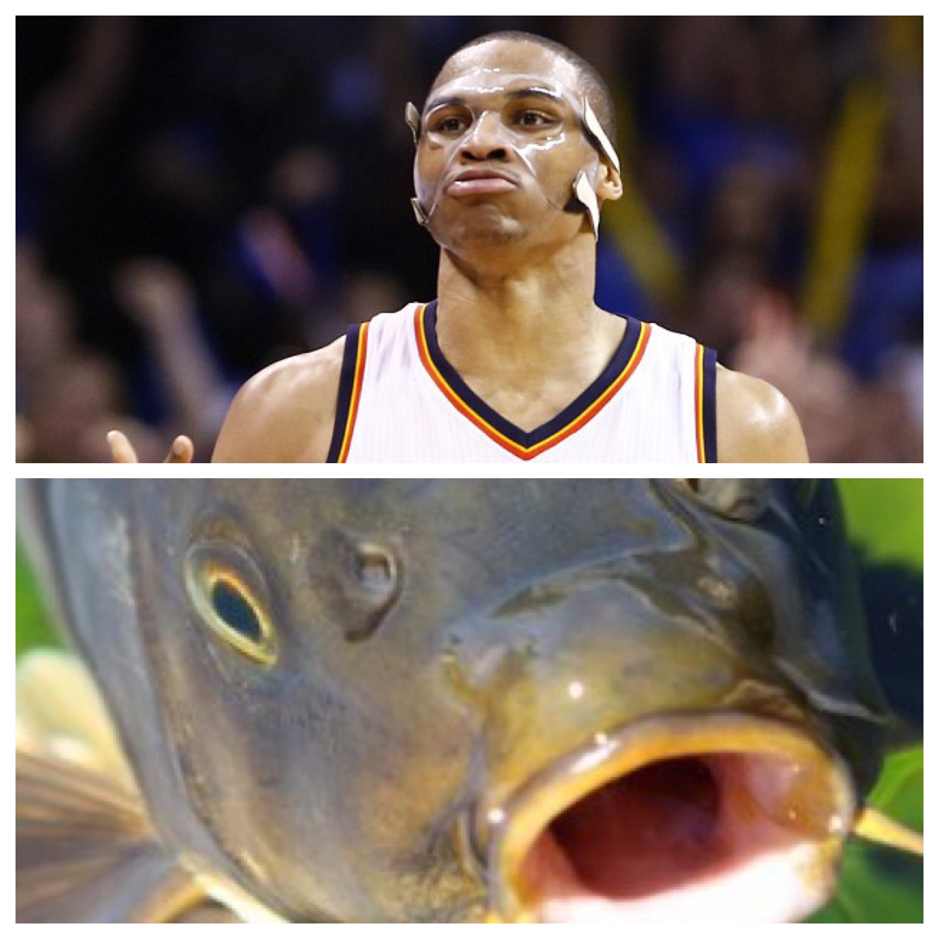 Russell Westbrook – Cheeseknuckles1936 x 1936